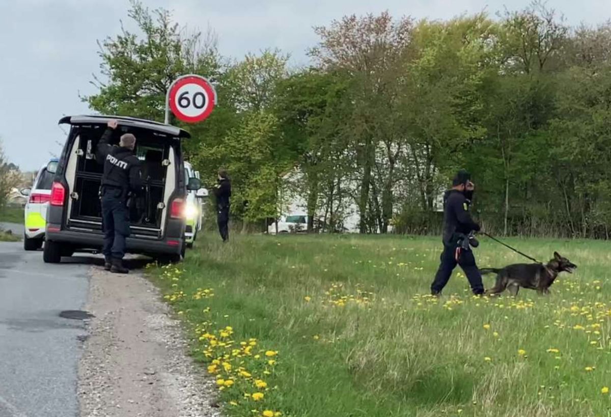 Politiet leder søndag formiddag efter den forsvundne Lis. Foto: Øxenholt foto