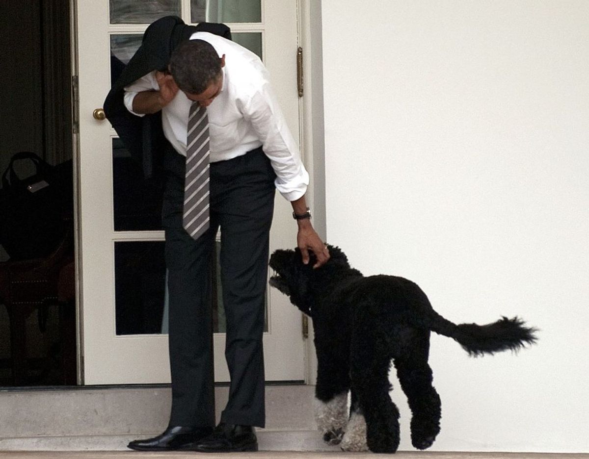 Her er Obama og hunde Bo. Foto: Jim WATSON / AFP)