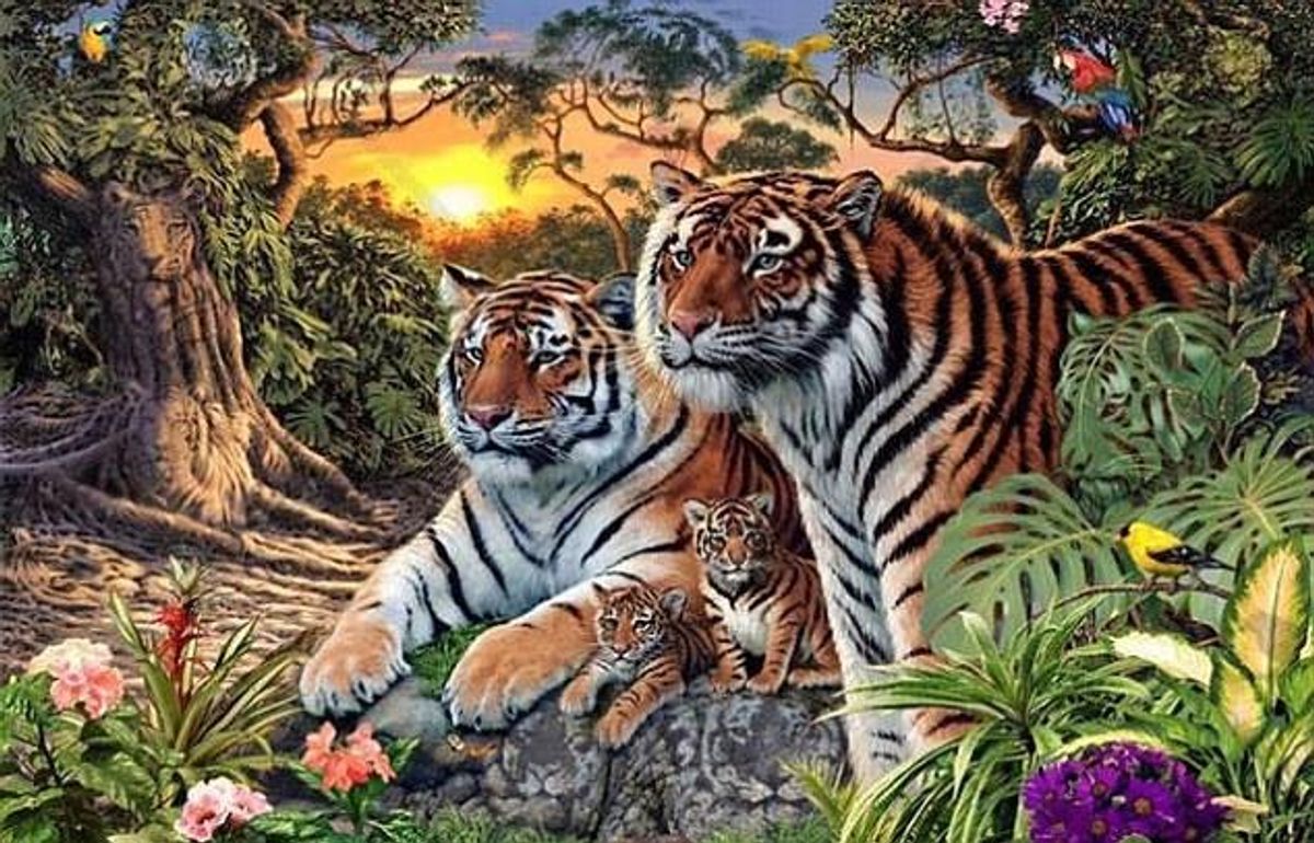 Kan du finde alle tigerne?