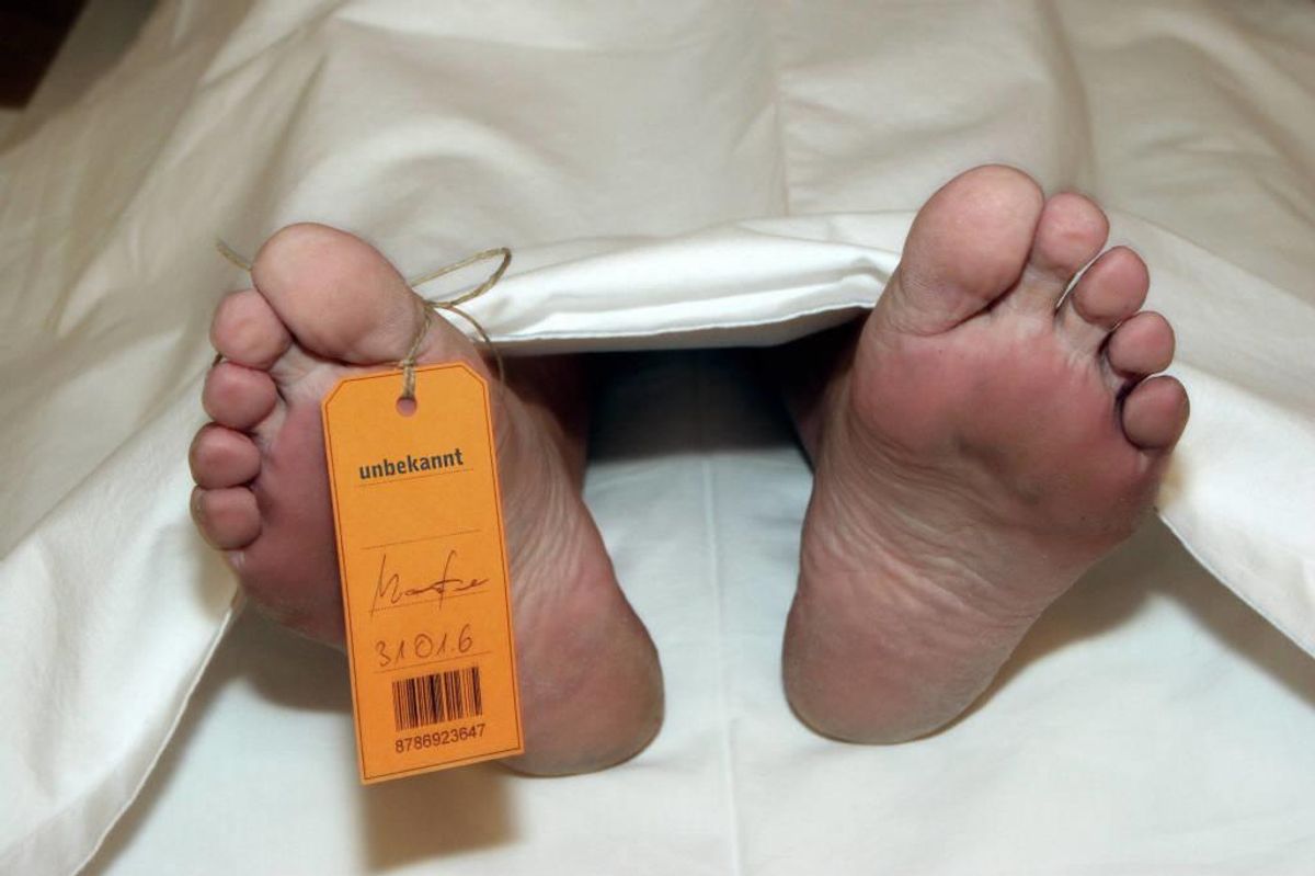 Giften kan gøre dig syg med opkast, kvalme og diarre – i sjældne tilfælde kan man faktisk død af den. Klik videre og se hvilke skaldyr du skal passe på. Arkivfoto: Colourbox.