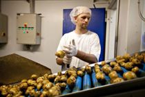 S-borgmestre vil sluse flygtninge ind med lavere løn