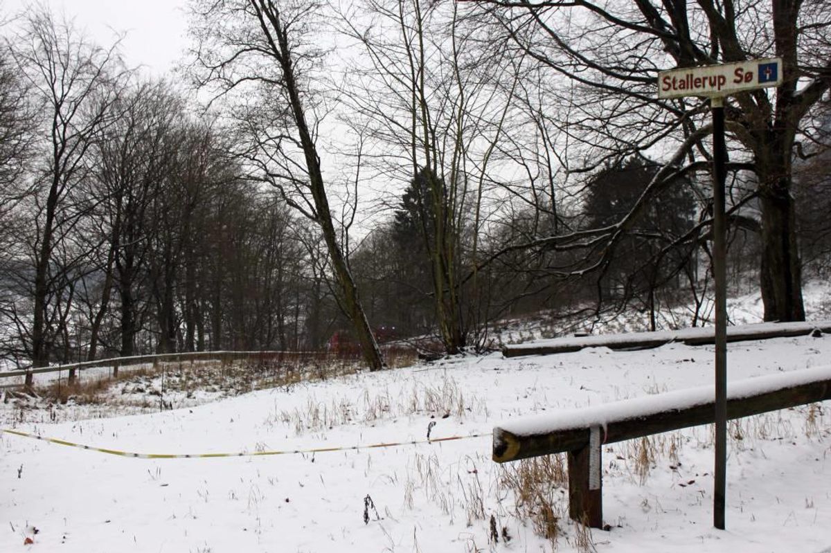 Her ses branden på Stallerup Sø. Foto: Elo Christoffersen.