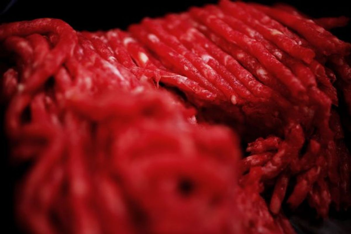 Der er endnu engang fundet salmonella i hakket oksekød – det er solgt til restauranter i hele Nordjylland. Foto: THOMAS BORBERG/POLFOTO