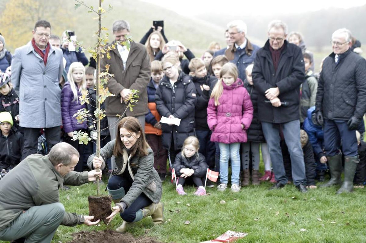 Kronprinsesse Mary planter det første træ og skyder klimakampagnen “Genplant Planeten” i gang sammen med 120 skolebørn i naturcenter Herstedhøje mandag d. 2 november 2015. Foto: Simon Skipper/Scanpix