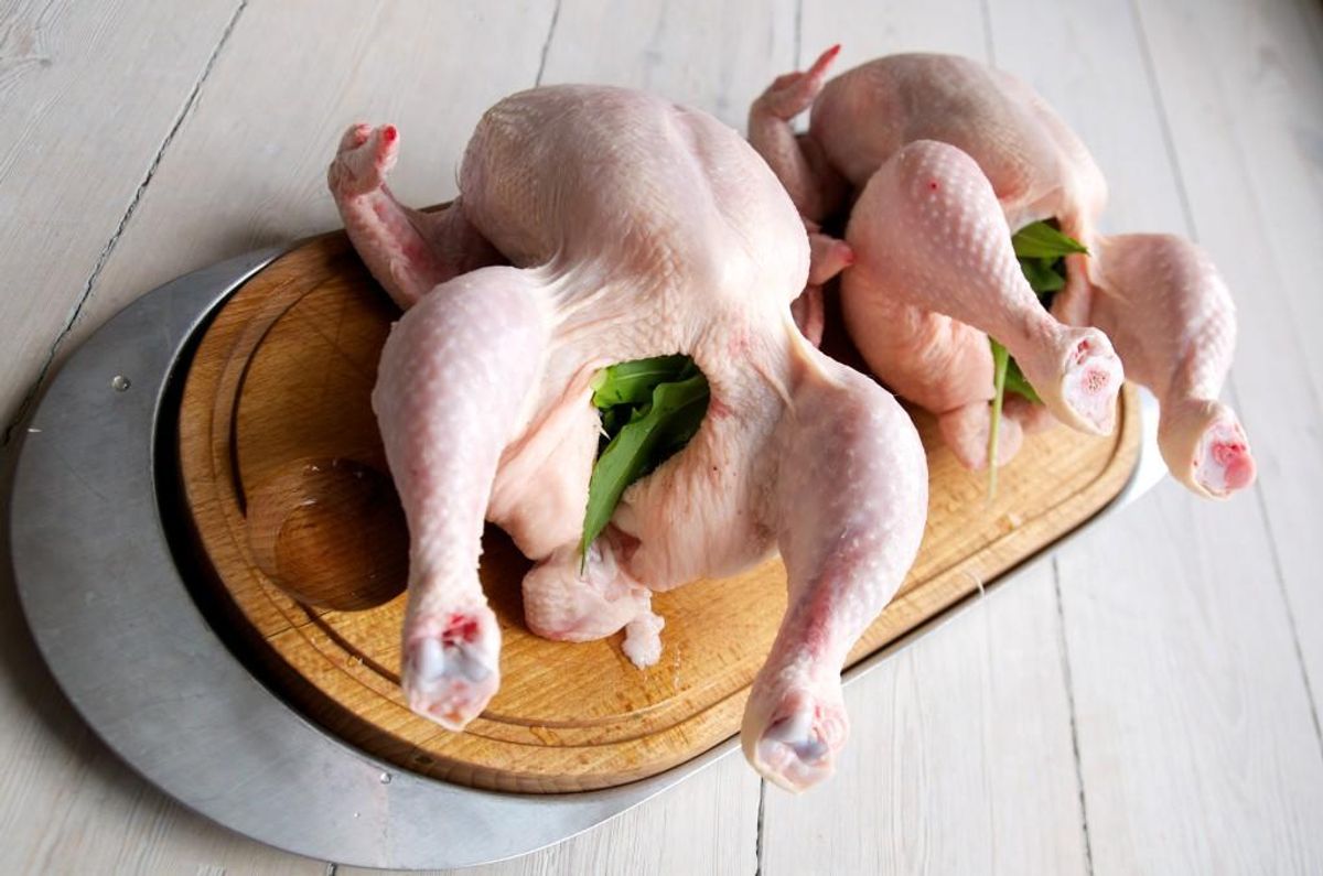Et parti kyllinger trækkes nu tilbage på grund af Salmonella-mistanke. Arkivfoto: Colourbox.