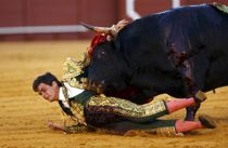 Vilde billeder: Her vinder tyr over tyrefægter