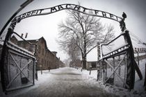 100.000 jødiske nazi-ofre lever endnu