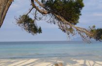 Dansk ferieparadis ramt af ekstrem varme