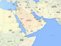 Saudi-Arabiens regime lader blogger piske