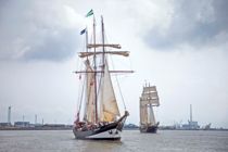 Skibe tager fælles afsked i imponerende ”Parade of sail”