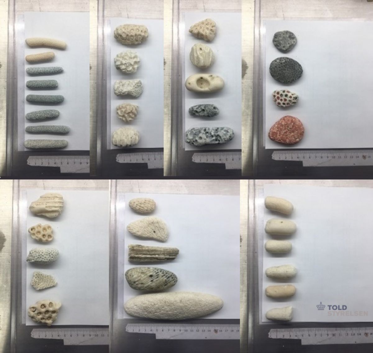 Konventionen har til formål at sikre, at handel med udryddelsestruede vilde dyr og planter sker bæredygtigt og dermed forhindrer nedgange i bestandene – og i sidste ende udryddelse af en række dyr og planter. Foto: Toldstyrelsen