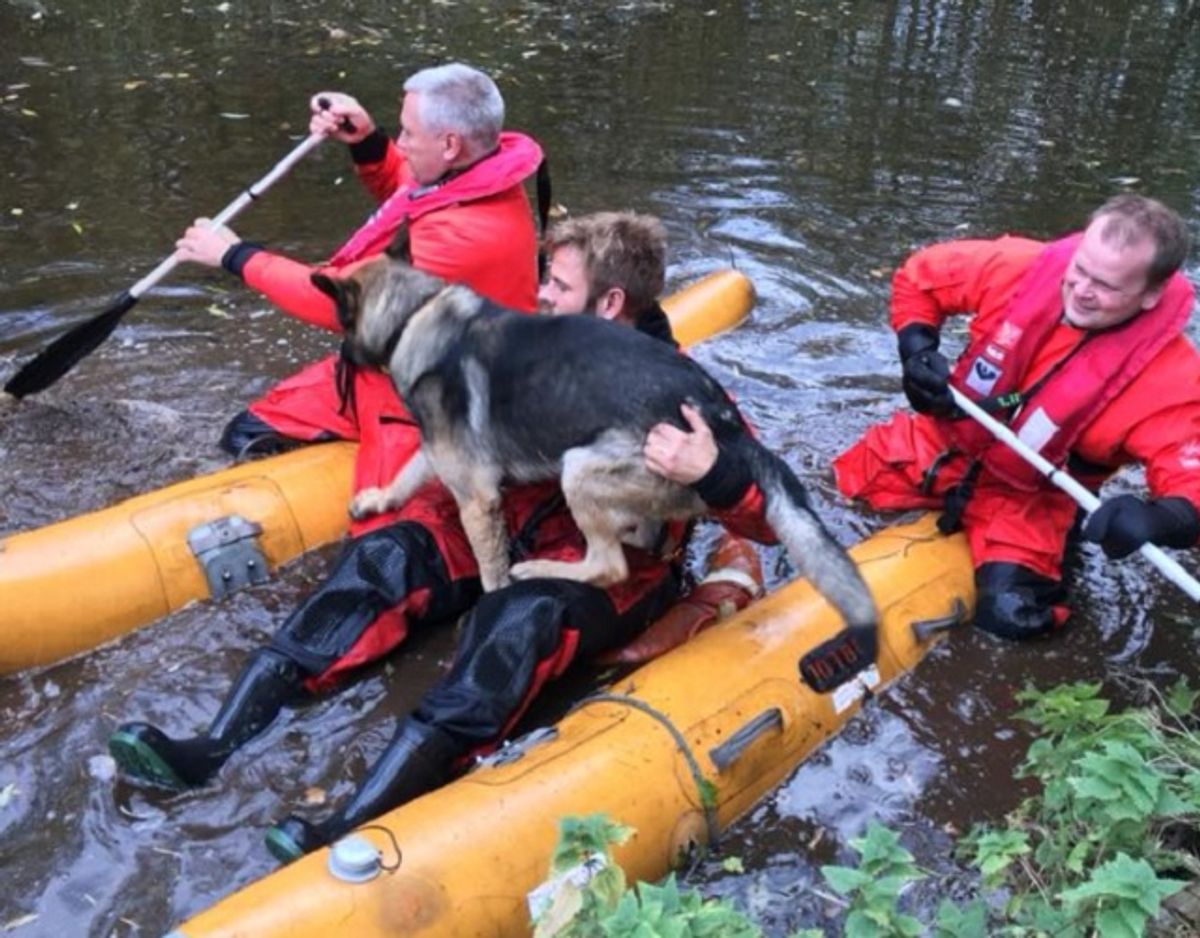 Transport af politipersonel og politihund i redningsflåde (udgået model). Foto: Beredskab Øst.
