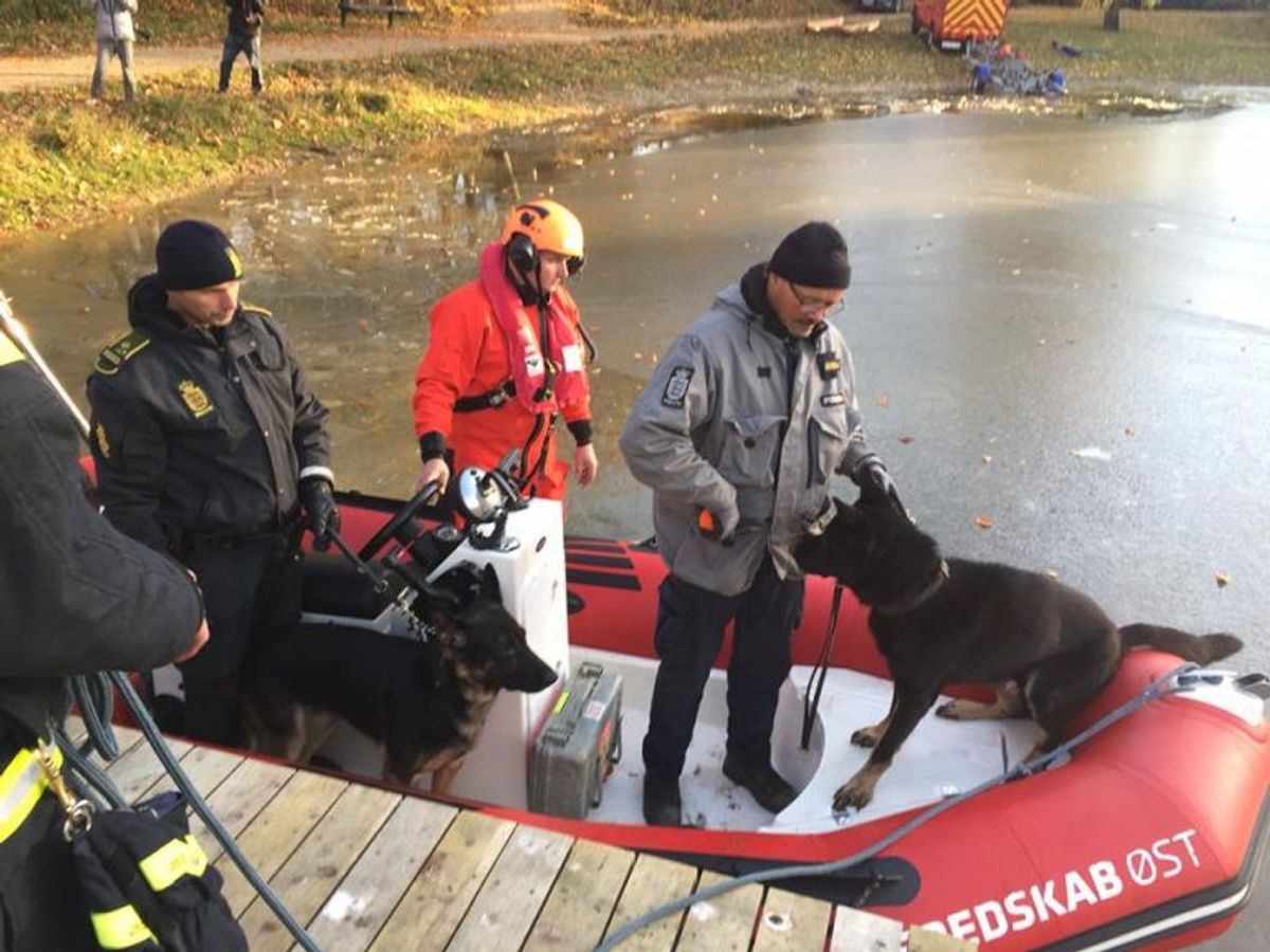 Transport af politipersonel og politihund i redningsbåd. Foto: Beredskab Øst.
