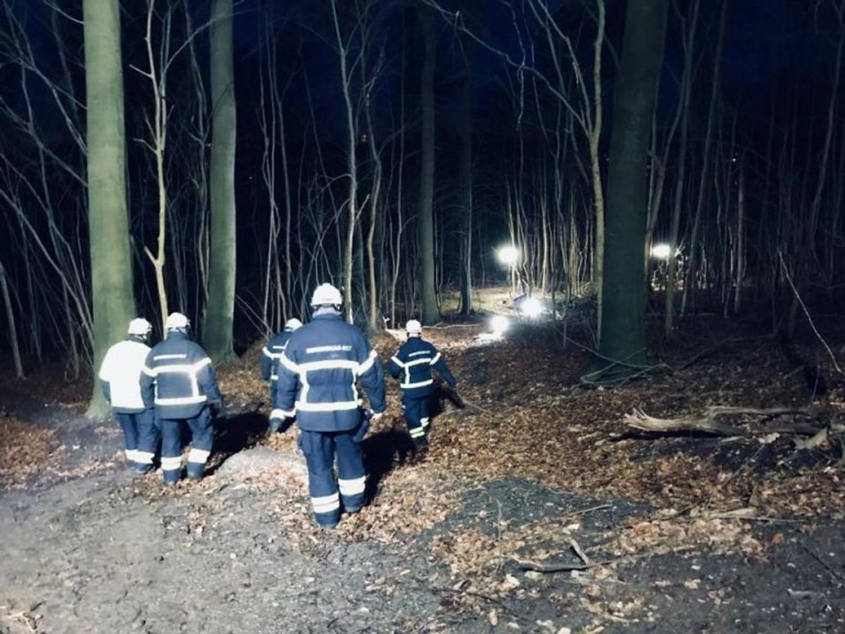 Lysopsætning i skovområde (billede fra øvelse). Foto: Beredskab Øst.