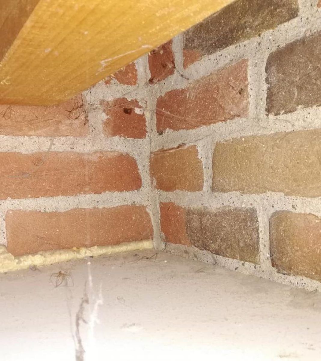 Sådan så der ud, da Jan overtog det hus, han og hustruen har lejet hos Dancenter. KLIK for flere billeder. Foto: Privat.