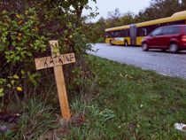 Retssag begynder: Ung kvinde dræbt i dødskryds