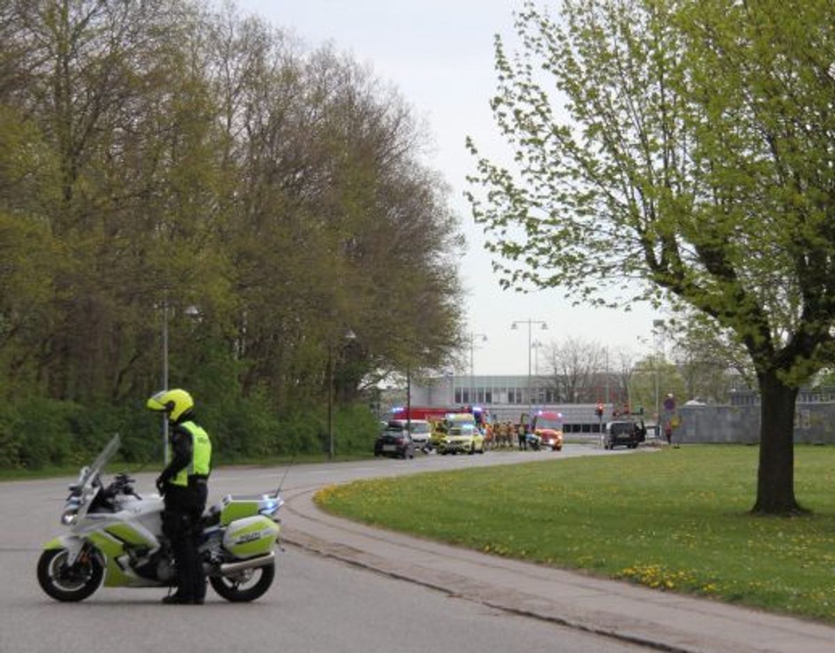 Foto: Øxenholt foto