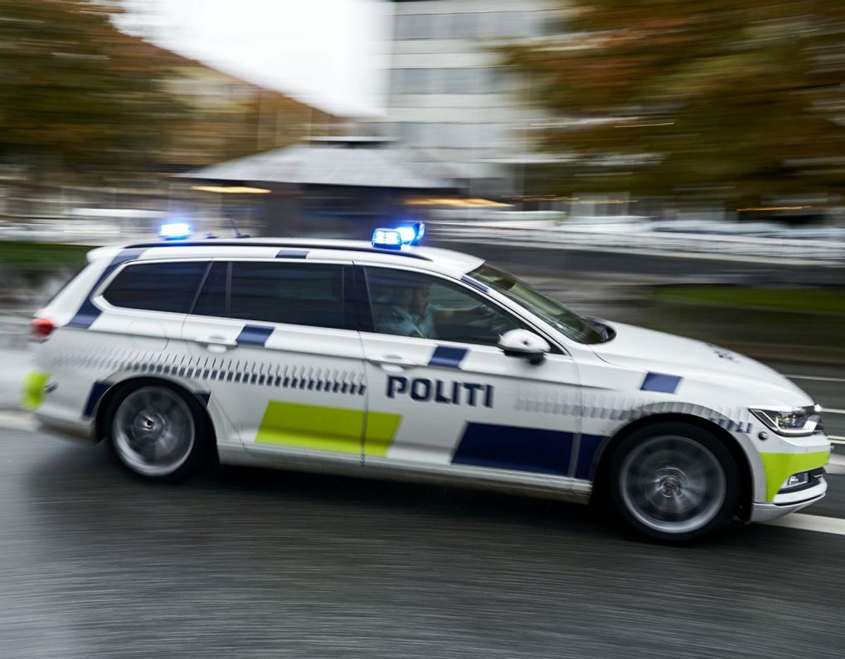En vred hundelufter er sigtet for grov vold, efter han tog kvælertag på en 69-årig kvinde. Foto: Bonnerup Claus/Ritzau Scanpix