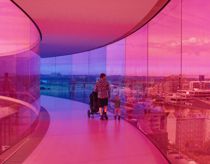 LSD på museet: To mænd i brummen