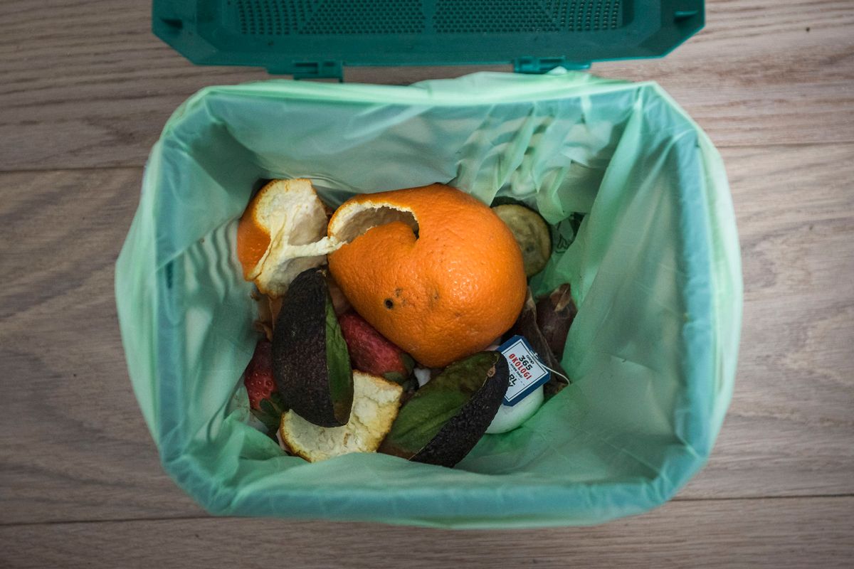 De høje temperaturer fremskynder forrådnelsesprocessen af madaffaldet. Foto: Sofie Mathiassen