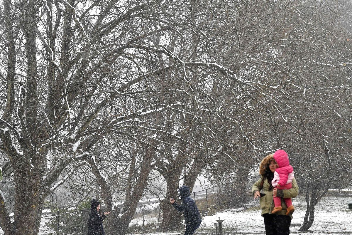 Vejret i Australien er ikke helt det samme som i Danmark. Foto: Scanpix/SAEED KHAN