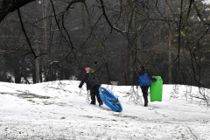 Velkommen til Australien - husk din kælk