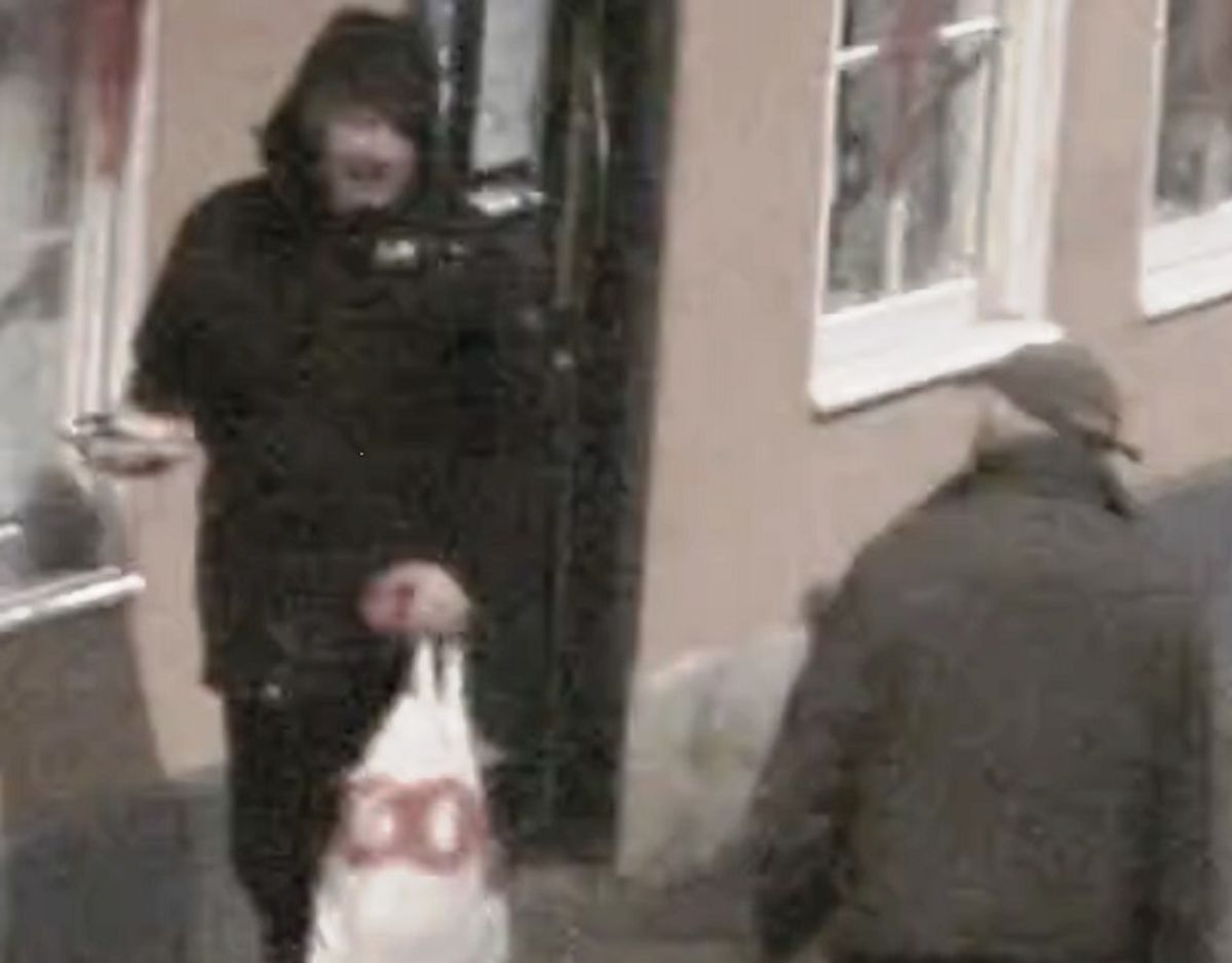 Det er denne mand, der efterlyses for hærværket. Foto: Politiet.