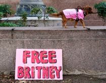 “Free Britney”! Verdensstjerne i opgør med far