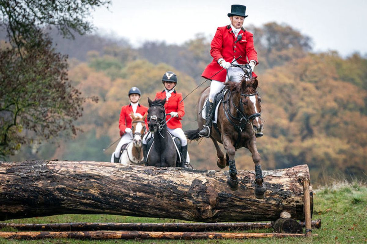 Hubertusjagten 2019 i Dyrehaven ved Klampenborg, søndag den 3. november 2019. Hubertusjagten er en symbolsk videreførelse af de gamle parforce-jagter, som Dyrehaven oprindeligt er anlagt til. Her lod man hunde støve ræven op, og feltet fulgte hunde og ræv. I dag er der ingen jagthunde, og ræven er erstattet af to “forlorne” ræve i form af to erfarne ryttere, som rider forrest med rævehaler på deres røde ridejakker. Jagten er ca. 11 km lang og tager 1½ time.. (Foto: Niels Christian Vilmann/Ritzau Scanpix)