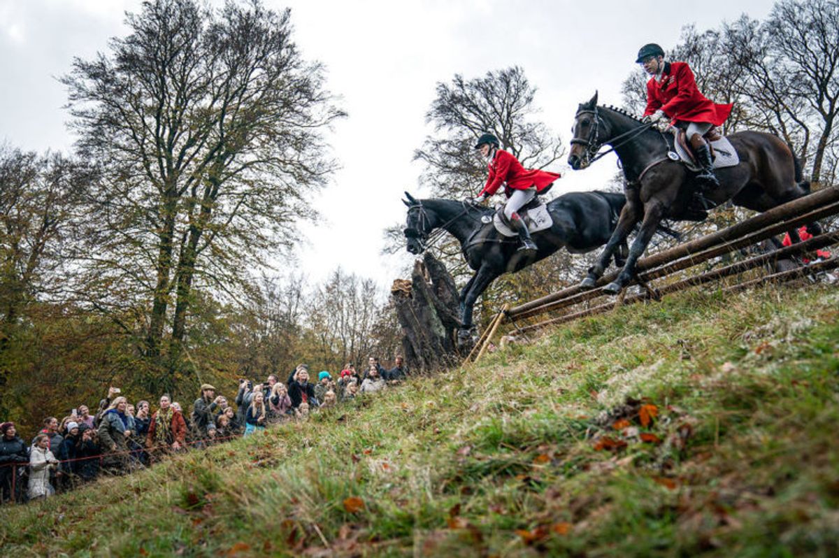 Hubertusjagten 2019 i Dyrehaven ved Klampenborg, søndag den 3. november 2019. Hubertusjagten er en symbolsk videreførelse af de gamle parforce-jagter, som Dyrehaven oprindeligt er anlagt til. Her lod man hunde støve ræven op, og feltet fulgte hunde og ræv. I dag er der ingen jagthunde, og ræven er erstattet af to “forlorne” ræve i form af to erfarne ryttere, som rider forrest med rævehaler på deres røde ridejakker. Jagten er ca. 11 km lang og tager 1½ time.. (Foto: Niels Christian Vilmann/Ritzau Scanpix)