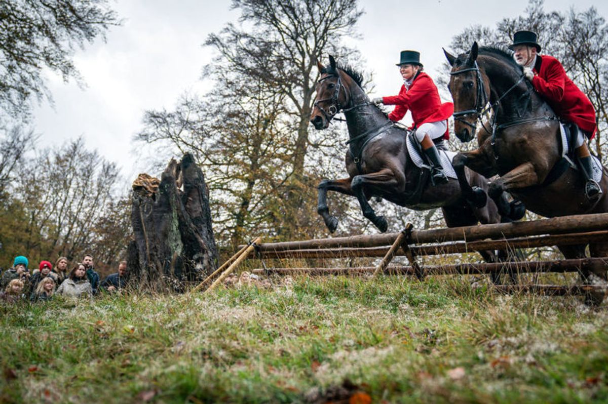 Udspringet ved sandskredet under Hubertusjagten 2019 i Dyrehaven ved Klampenborg, søndag den 3. november 2019. Hubertusjagten er en symbolsk videreførelse af de gamle parforce-jagter, som Dyrehaven oprindeligt er anlagt til. Her lod man hunde støve ræven op, og feltet fulgte hunde og ræv. I dag er der ingen jagthunde, og ræven er erstattet af to “forlorne” ræve i form af to erfarne ryttere, som rider forrest med rævehaler på deres røde ridejakker. Jagten er ca. 11 km lang og tager 1½ time.. (Foto: Niels Christian Vilmann/Ritzau Scanpix)