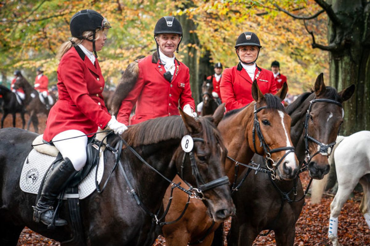Rytterne med en rævehale om skulderen rider forrest og sætter tempoet ved Hubertusjagten 2019 i Dyrehaven ved Klampenborg, søndag den 3. november 2019. Hubertusjagten er en symbolsk videreførelse af de gamle parforce-jagter, som Dyrehaven oprindeligt er anlagt til. Her lod man hunde støve ræven op, og feltet fulgte hunde og ræv. I dag er der ingen jagthunde, og ræven er erstattet af to “forlorne” ræve i form af to erfarne ryttere, som rider forrest med rævehaler på deres røde ridejakker. Jagten er ca. 11 km lang og tager 1½ time.. (Foto: Niels Christian Vilmann/Ritzau Scanpix)