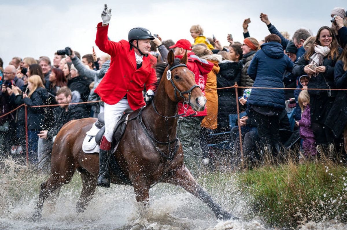 Rytter med hest i Magasindammen under Hubertusjagten 2019 i Dyrehaven ved Klampenborg, søndag den 3. november 2019. Hubertusjagten er en symbolsk videreførelse af de gamle parforce-jagter, som Dyrehaven oprindeligt er anlagt til. Her lod man hunde støve ræven op, og feltet fulgte hunde og ræv. I dag er der ingen jagthunde, og ræven er erstattet af to “forlorne” ræve i form af to erfarne ryttere, som rider forrest med rævehaler på deres røde ridejakker. Jagten er ca. 11 km lang og tager 1½ time.. (Foto: Niels Christian Vilmann/Ritzau Scanpix)