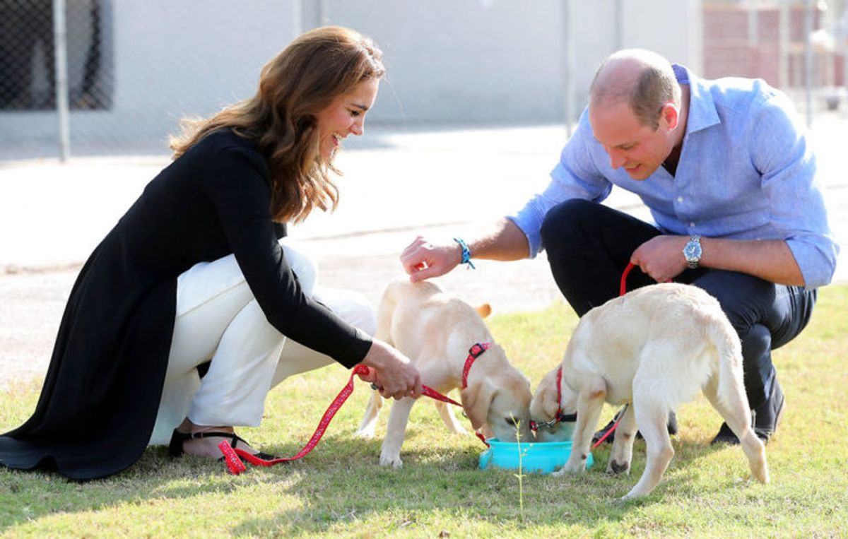 Kate og William har haft travle dage i Pakistan. KLIK VIDERE OG SE FLERE BILLEDER. Foto: Scanpix