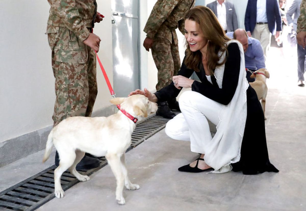 Kate og William har haft travle dage i Pakistan. KLIK VIDERE OG SE FLERE BILLEDER. Foto: Scanpix