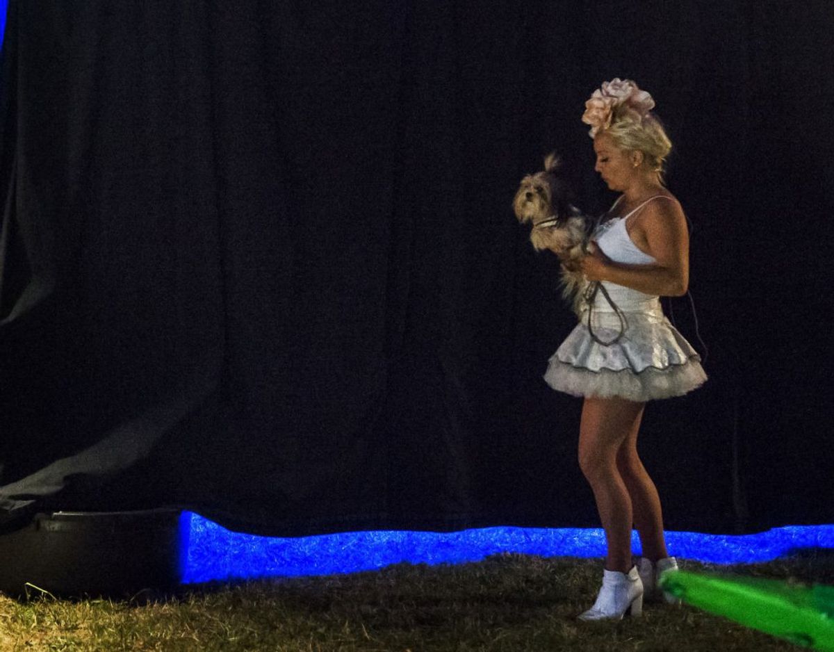 Signe Lindkvist har prøvet lidt af hvert gennem karrieren. I 2015 rejste hun rundt med cirkus Arena. Nu venter Vild med Dans på TV2. Foto: Scanpix.