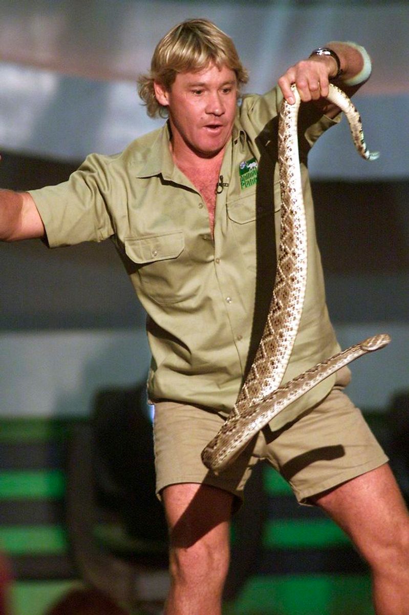 Steve Irwin var kendt over hele verden – og han var ikke bange for dyr. Arkivfoto: Scanpix