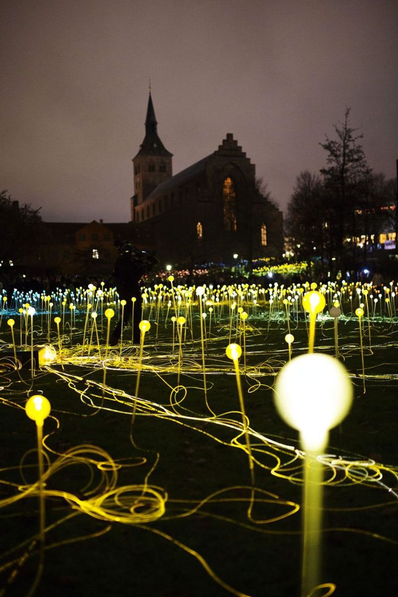 Kronprinsen skabte lys over H. C. Andersen ved at tænde “Field of Light”, en lysinstallation i Eventyrhaven, der er skabt af den internationalt anerkendte kunstner Bruce Munro. Foto: Carsten Bundgaard/Scanpix