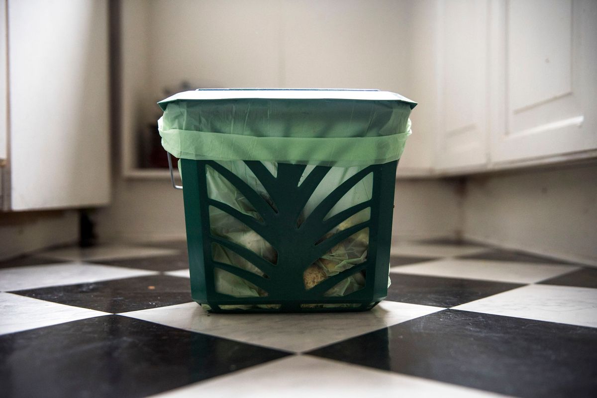 Tag skraldet ud med det samme i stedet for at lade det sidde i posen i en periode. KLIK VIDERE OG SE, HVORDAN DU KOMMER AF MED BANANFLUERNE, HVIS DE ALLEREDE ER I HJEMMET. Foto: Sofie Mathiassen / Scanpix Sofie Mathiassen
