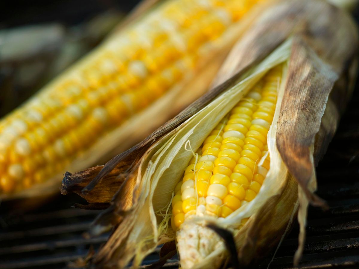 Grillsæsonen er over os og majs kan være lækkert på grillen, men hold dem så langt fra bagsiden af køleskabet. De bliver nemlig tørre og stive i det, hvis de har det for koldt. Foto Brenda Spaude / Scanpix Spaude, Brenda