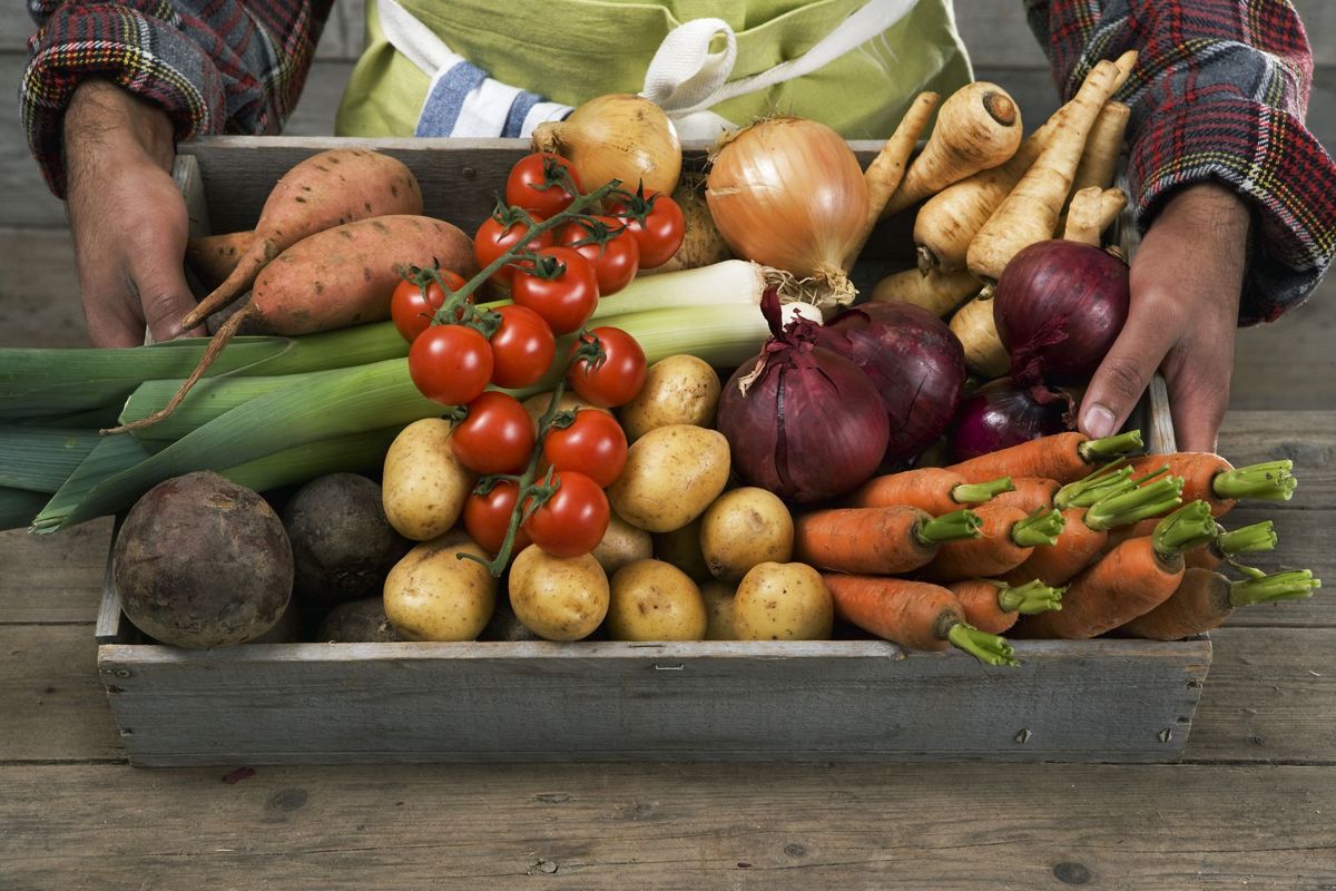 Rodfrugter er nogle af de bedste ting at spise, men hvis du gerne vil bevare de mange vitaminer, så opbevar dem koldt og mørkt. Foto: Johner RF / Plattform / Scanpix PLATTFORM