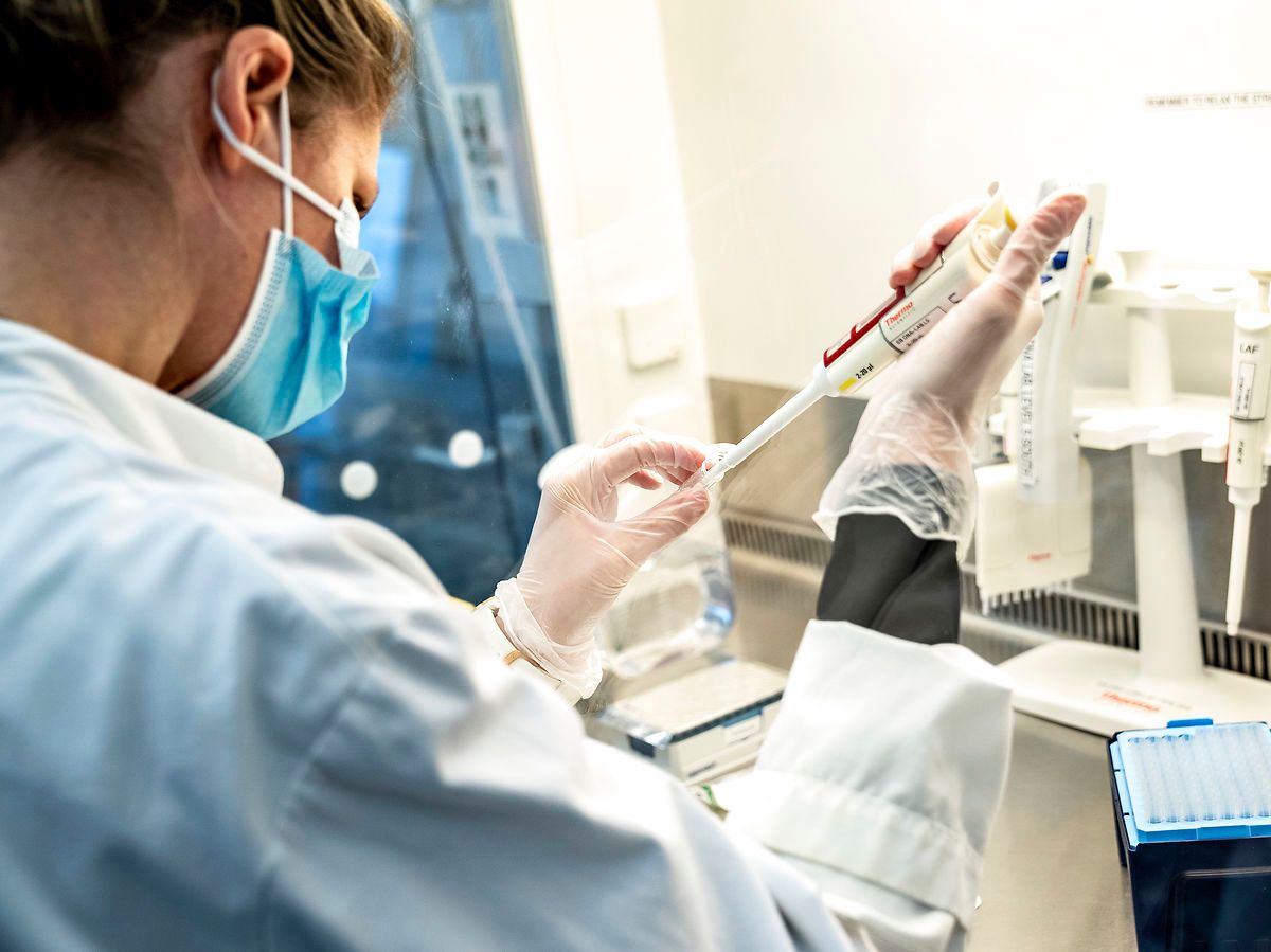 Minkmutation kunne påvirke vacciners effekt, fastslår nyt studie.