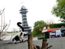 Mangler desperat hjælp