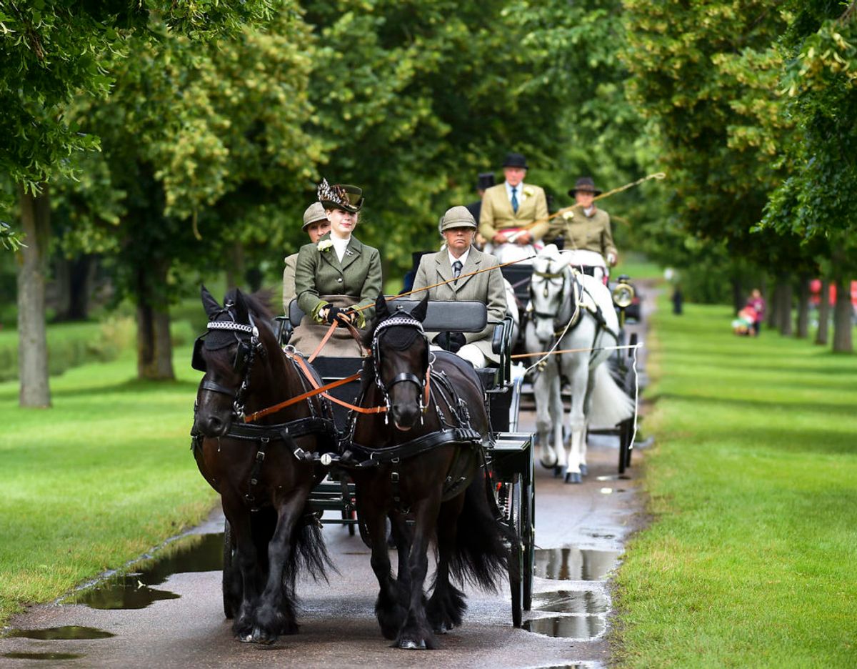 Lady Louise Windsor i sin farfars favoritkaret ved The Royal Windsor Horse Show søndag den 4. juli. Foto: Scanpix/Images/Polaris)