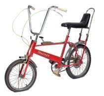Prinsesse Dianas cykel på auktion