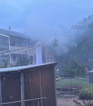 Kat død i voldsom brand