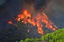 Udenrigsministeriet advarer danskere