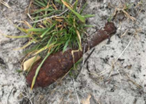 Rykker ud til granat i ferie-område