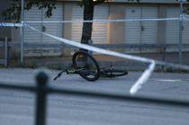 En er død efter to svenske drenge er ramt af skud