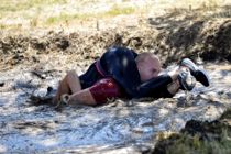 Mesterskaber i koneløft